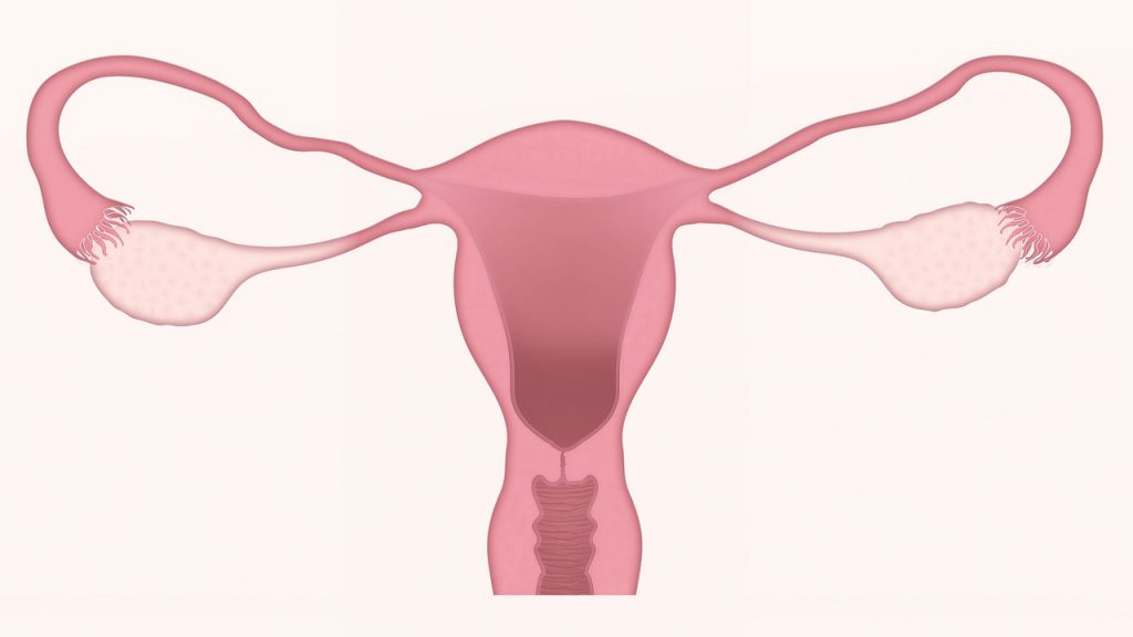 Benefits of vaginal rejuvenation - MedSkin Clinic