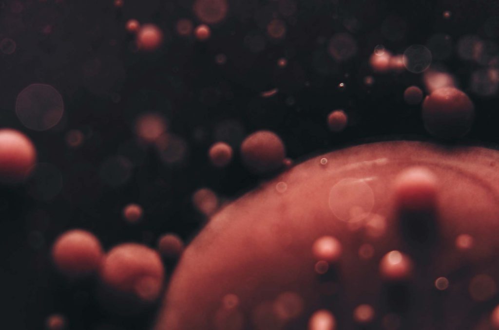 The health benefits of vitamin B12 -